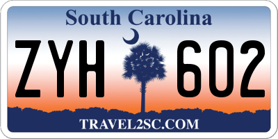 SC license plate ZYH602