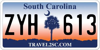 SC license plate ZYH613