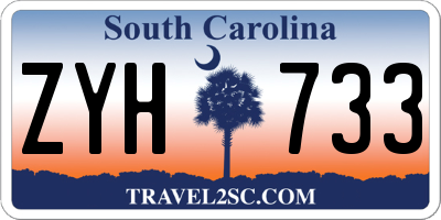 SC license plate ZYH733