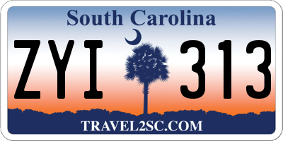 SC license plate ZYI313