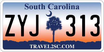 SC license plate ZYJ313