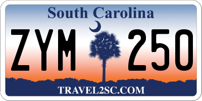 SC license plate ZYM250