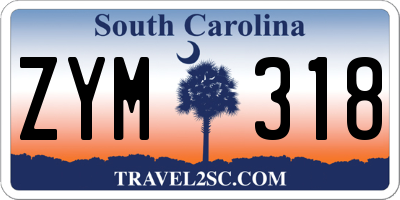 SC license plate ZYM318