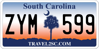 SC license plate ZYM599