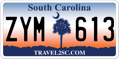 SC license plate ZYM613