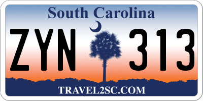 SC license plate ZYN313