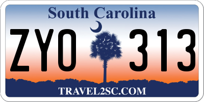 SC license plate ZYO313