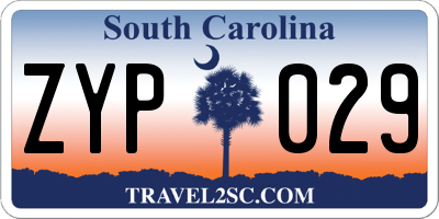 SC license plate ZYP029