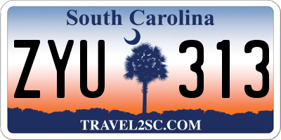 SC license plate ZYU313
