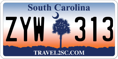 SC license plate ZYW313