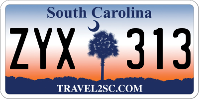 SC license plate ZYX313