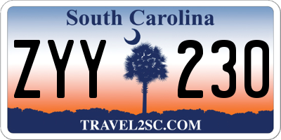 SC license plate ZYY230