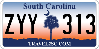 SC license plate ZYY313