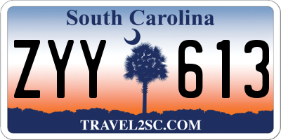 SC license plate ZYY613