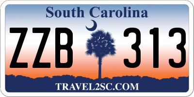 SC license plate ZZB313