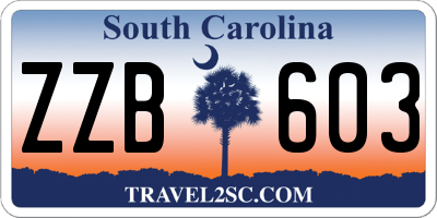 SC license plate ZZB603