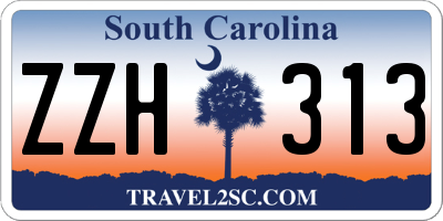 SC license plate ZZH313