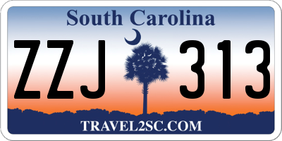 SC license plate ZZJ313