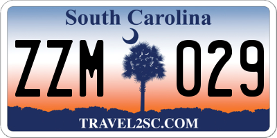 SC license plate ZZM029