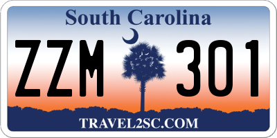 SC license plate ZZM301