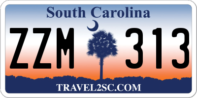 SC license plate ZZM313