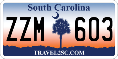 SC license plate ZZM603
