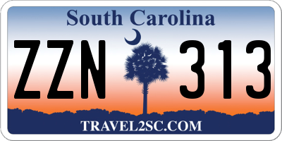 SC license plate ZZN313
