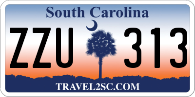SC license plate ZZU313