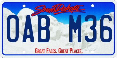 SD license plate 0ABM36