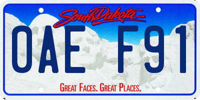 SD license plate 0AEF91