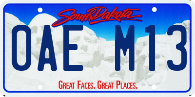 SD license plate 0AEM13