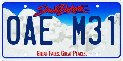 SD license plate 0AEM31