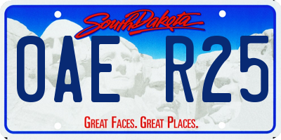 SD license plate 0AER25