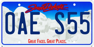 SD license plate 0AES55