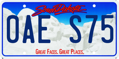 SD license plate 0AES75