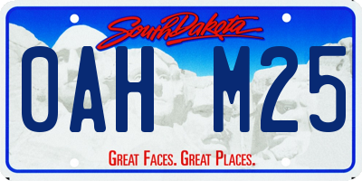SD license plate 0AHM25