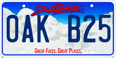 SD license plate 0AKB25