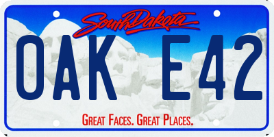 SD license plate 0AKE42