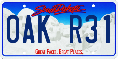 SD license plate 0AKR31