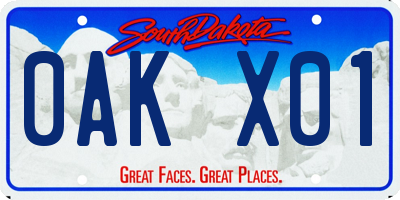 SD license plate 0AKX01