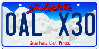 SD license plate 0ALX30