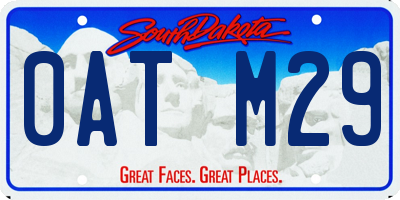 SD license plate 0ATM29