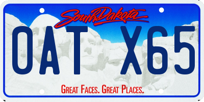 SD license plate 0ATX65