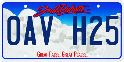SD license plate 0AVH25