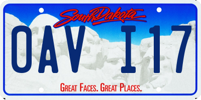 SD license plate 0AVI17