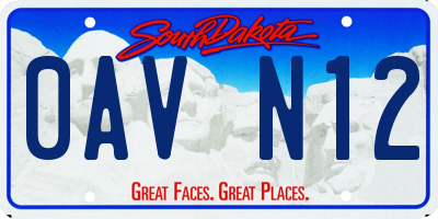 SD license plate 0AVN12