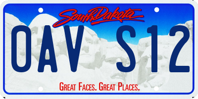 SD license plate 0AVS12