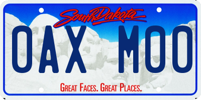 SD license plate 0AXM00