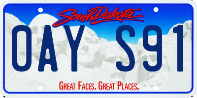 SD license plate 0AYS91