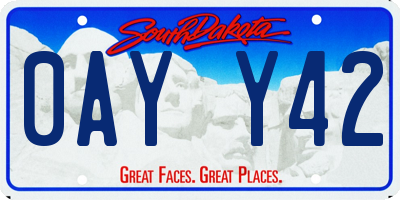 SD license plate 0AYY42